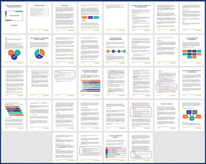 How to Use Psychographics to Understand Your Market 2 Psychographics_Coursebook