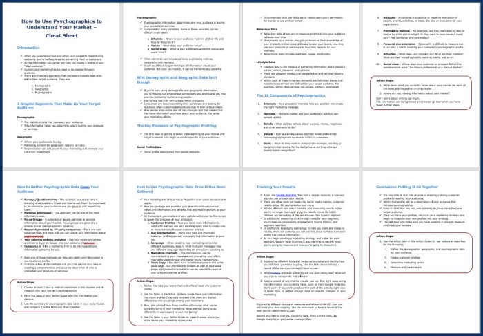 How to Use Psychographics to Understand Your Market 4 Psychographics_Cheatsheet