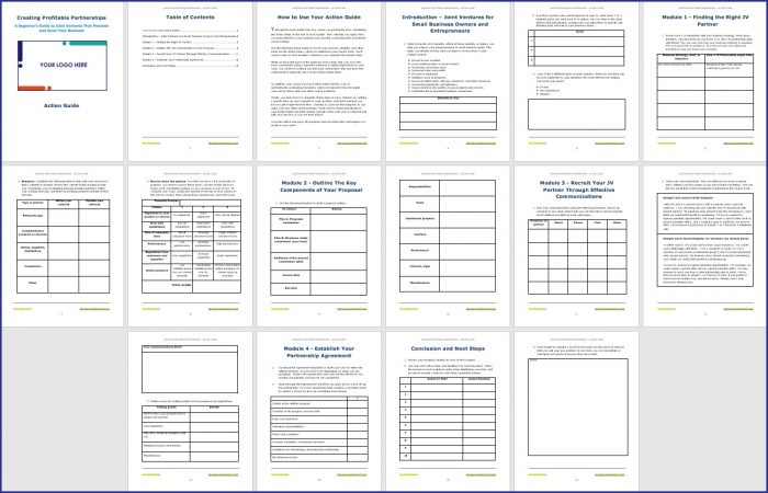 Creating Profitable Partnerships 3 Creating Profitable Partnerships - Action Guide