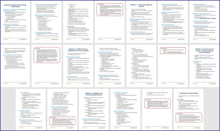 Creating Profitable Partnerships 5 Creating Profitable Partnerships - Cheat Sheet