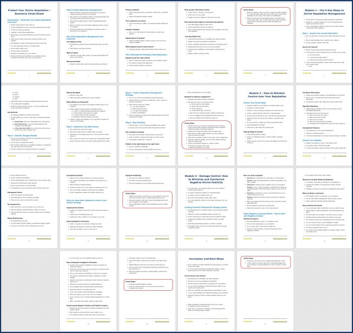 Protect Your Online Reputation 5 Protect Your Online Reputation Cheat Sheet