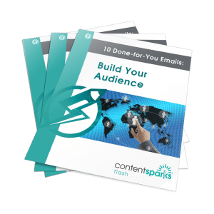 BuildAudienceEmails FLASH3D 2