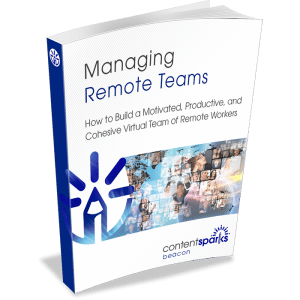 5 Pack Bundle: 50 Done-For-You Blog Posts & Emails - Suggested Add-On Courses 4 RemoteTeams eCover3D