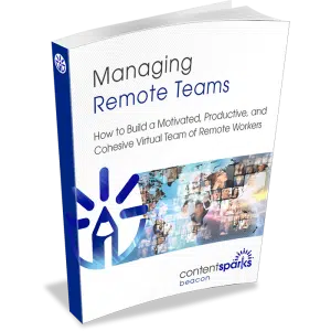 RemoteTeams eCover3D