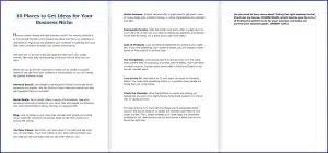 10 Done-for-You Blog Posts & Emails: Business Niche 2 10 Places to Get Ideas for Your Business Niche