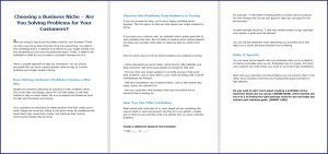 10 Done-for-You Blog Posts & Emails: Business Niche 6 Choosing a Business Niche – Are You Solving Problems for Your Customers