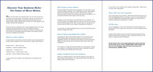 10 Done-for-You Blog Posts & Emails: Business Niche 4 Discover Your Business Niche – The Power of Micro-Niches