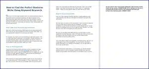 10 Done-for-You Blog Posts & Emails: Business Niche 3 How to Find the Perfect Business Niche Using Keyword Research