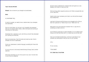 10 Done-for-You Blog Posts & Emails: Success Mindset 11 How to discover your strengths and weaknesses