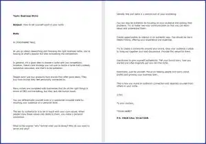 10 Done-for-You Blog Posts & Emails: Business Niche 10 How to set yourself apart in your niche