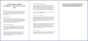 10 Done-for-You Blog Posts & Emails: Business Niche 5 Is Your Business Niche Profitable – Here’s How to Find Out