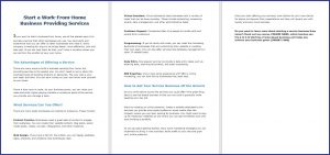 10 Done-for-You Blog Posts & Emails: Work-From-Home Business 4 Start a Work-From-Home Business Providing Services