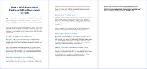 10 Done-for-You Blog Posts & Emails: Work-From-Home Business 2 Start a Work-From-Home Business Selling Homemade Products