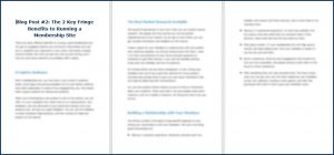 8 Proven Ideas for Profitable Membership Sites 12 How to Create a Membership Site - Opt In Blog 2