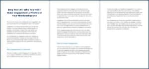 8 Proven Ideas for Profitable Membership Sites 15 How to Create a Membership Site - Blog Post 5