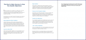 10 Done-for-You Blog Posts & Emails: Sales Objections 3 The Key to Sales Success Is How You Handle Objections