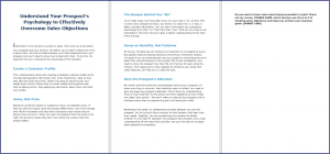 10 Done-for-You Blog Posts & Emails: Sales Objections 2 Understand Your Prospect’s Psychology to Effectively Overcome Sales Objections