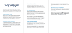 10 Done-for-You Blog Posts & Emails: Website Content 4 The Key to Website Content Success Is Knowing Your Audience Well