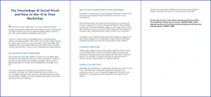 10 Done-for-You Blog Posts & Emails: Social Proof 4 The Psychology of Social Proof and How to Use It in Your Marketing