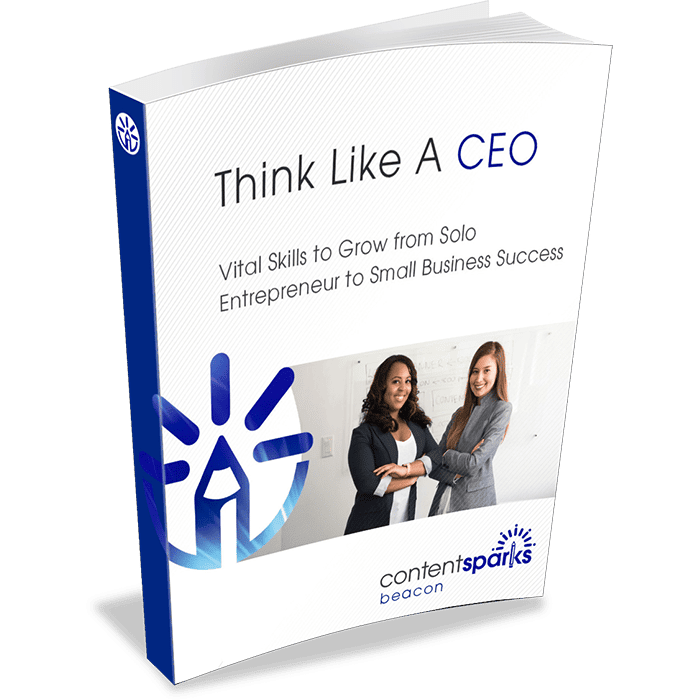 ThinkLikeACEO_eCover3D