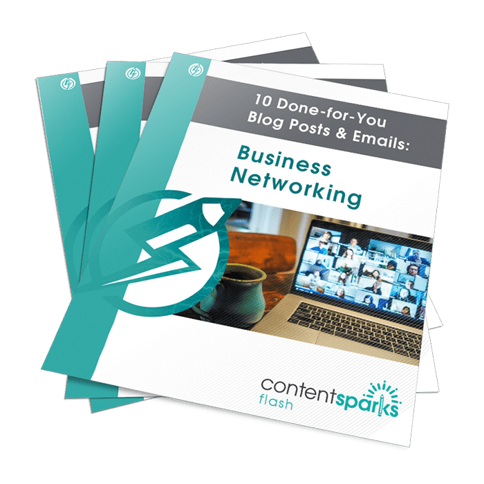 BusinessNetworkingBlogP&Emails_Flash3D BusinessNetworkingBlogPEmails Flash3D