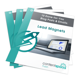 10 Done-for-You Blog Posts & Emails: Lead Magnets