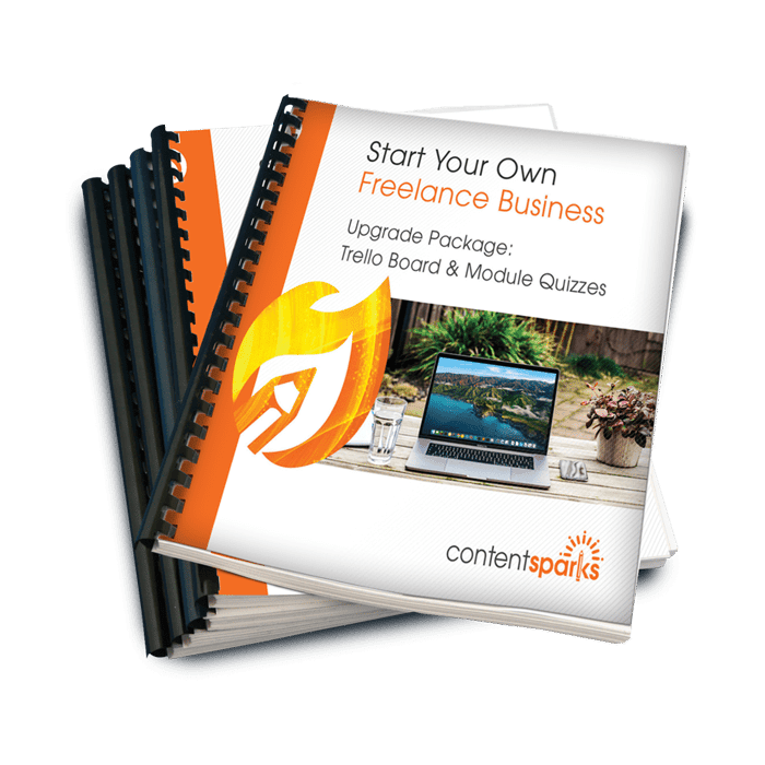 FreelanceBizUpgrade_ecover3D