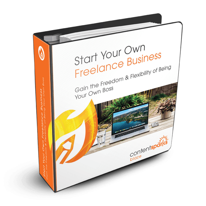FreelanceBiz_Blaze3D
