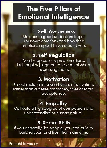 Emotional Intelligence Upgrade - PillarsInfographic Emotional Intelligence Upgrade PillarsInfographic