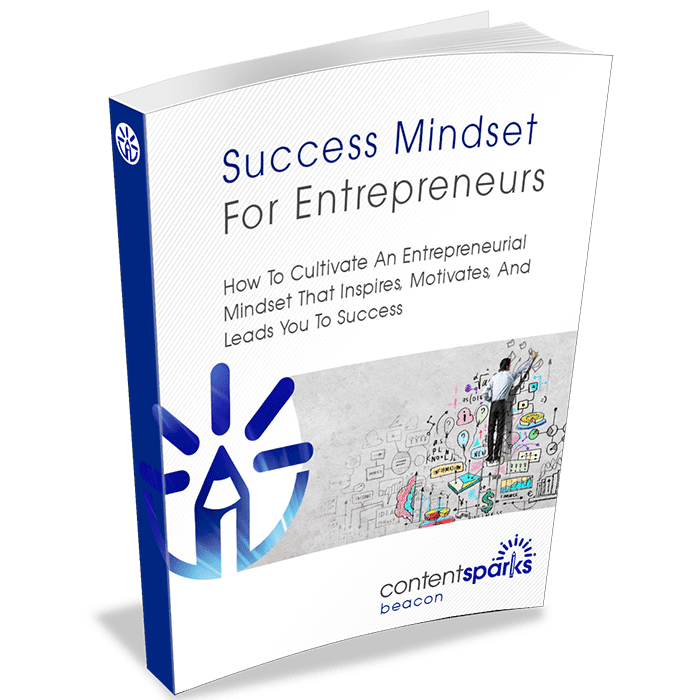 SuccessMindset_eCover3D-1 SuccessMindset eCover3D 1 1