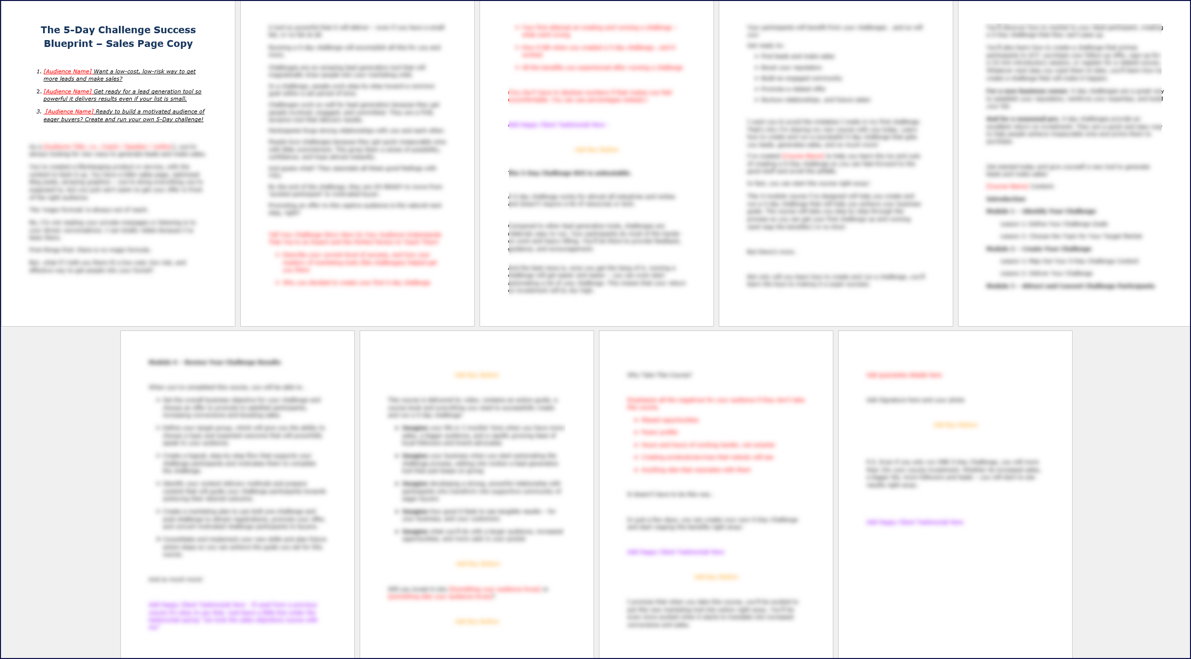 The 5 Day Challenge Success Blueprint Upgrade Pack Sales Page Copy
