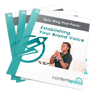 Epic Blog Post Pack: Establishing Your Brand Voice