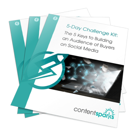 Build an Audience of Buyers on Social Media – 5-Day Challenge Kit