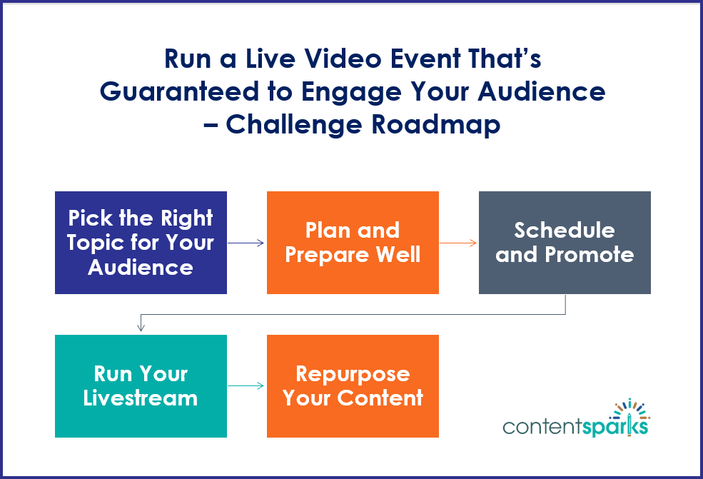 LiveVideo Roadmap