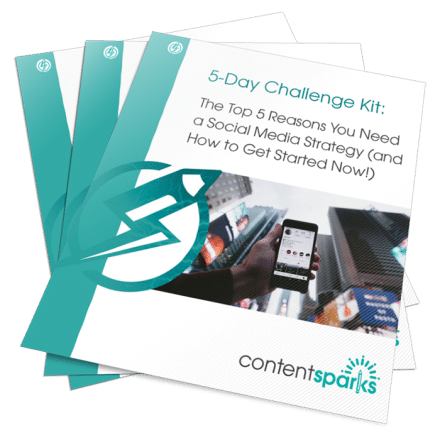 Reasons You Need a Social Media Strategy – 5-Day Challenge Kit