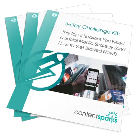Reasons You Need a Social Media Strategy – 5-Day Challenge Kit