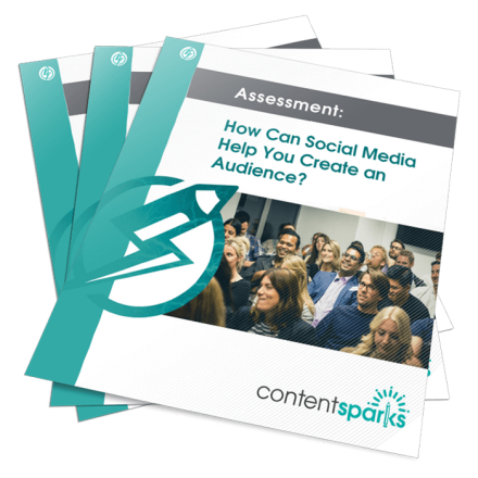 Assessment: How Can Social Media Help You Create an Audience?