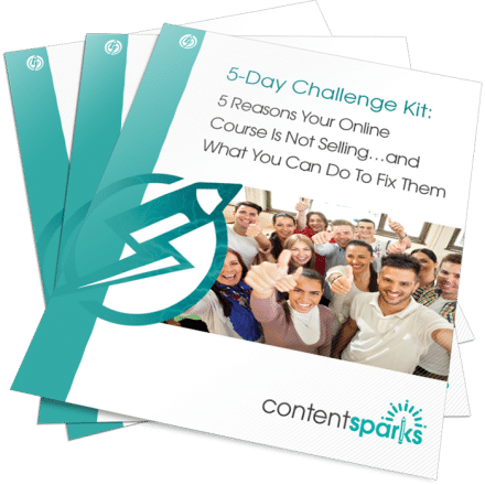 5 Reasons Your Online Course Is Not Selling – Challenge Kit