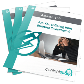 Assessment: Are You Suffering from Business Overwhelm?