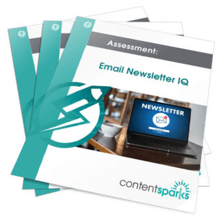 Email Newsletter IQ PLR Assessment