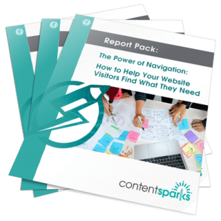 Website Navigation PLR Report