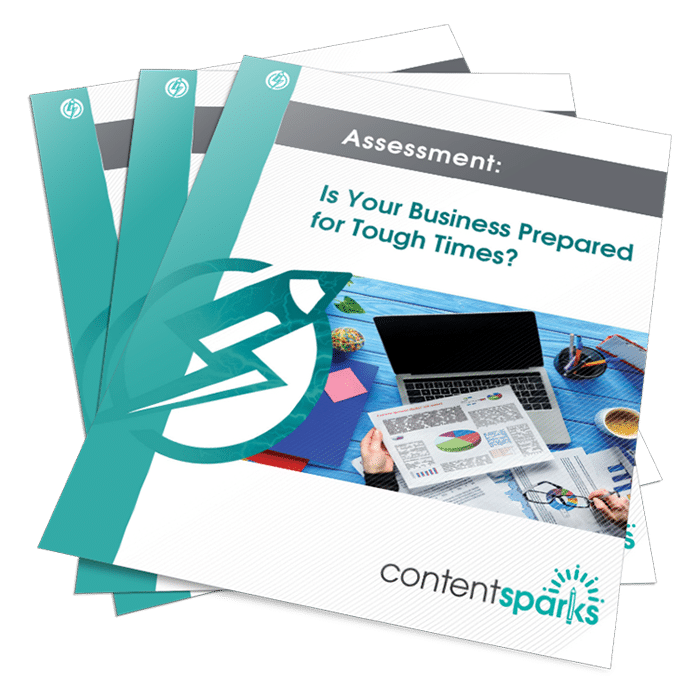 MktgInToughTimesAssessment_eCover3D Marketing in Tough Times PLR assessment