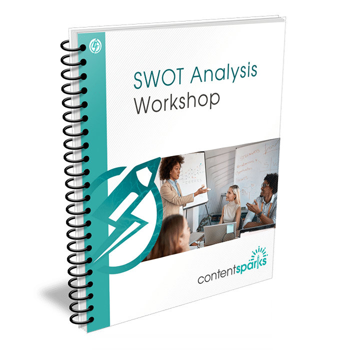 SWOTAnalysis_eCover3D SWOT Analysis PLR Workshop