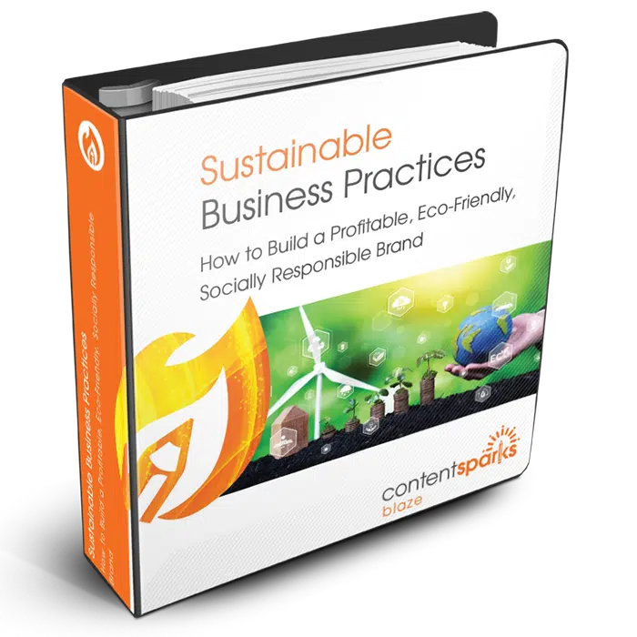 SustainableBiz_Blaze3D Sustainable Business Practices