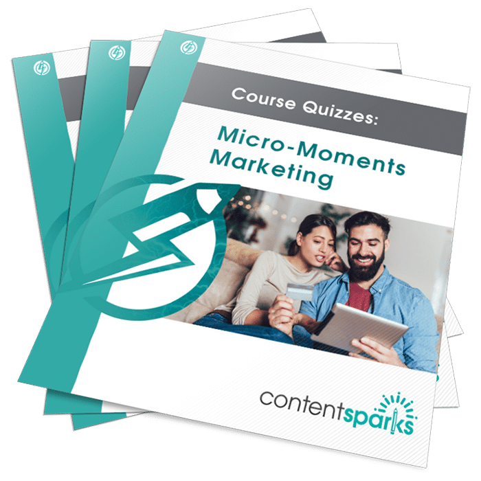 MicroMomentsQuizzes_eCover2D3D Micro-Moment Marketing - PLR course quizzes