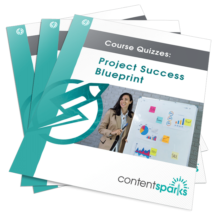 ProjectSuccessQuizzes_eCover3D Project Success PLR Quizzes