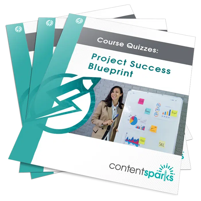 ProjectSuccessQuizzes_eCover3D Project Success PLR Quizzes