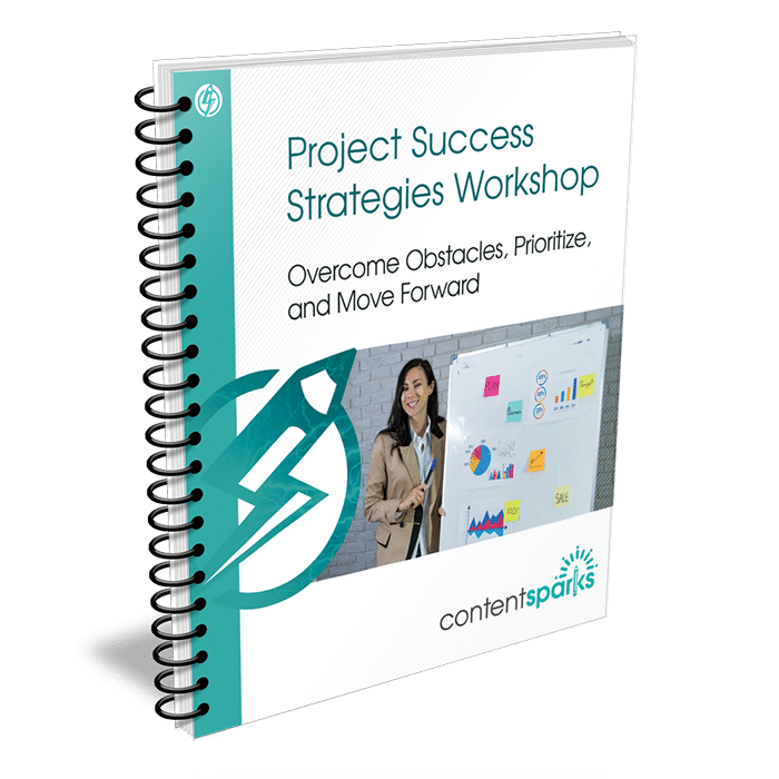 ProjectSuccessWorkshop_eCovers3D Project Success Strategies Workshop