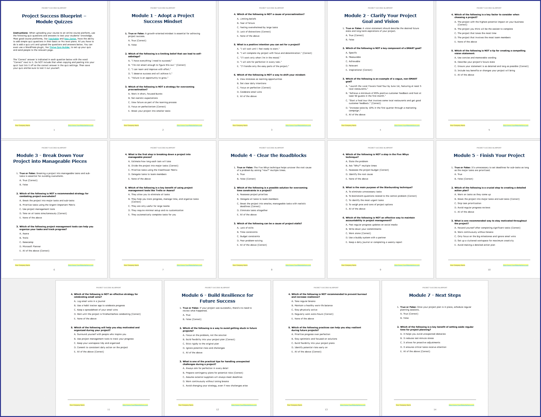 ProjectSuccess_Quizzes Project Success PLR Quizzes