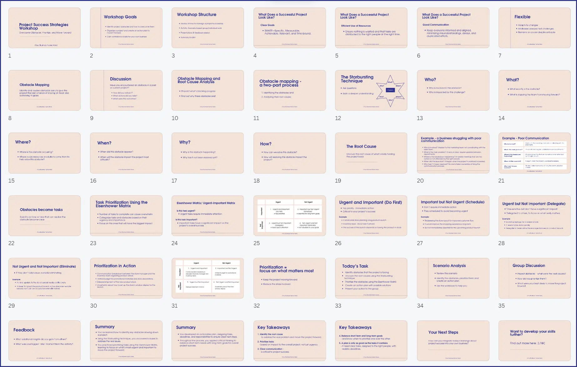 Project Success Strategies Workshop - Slides